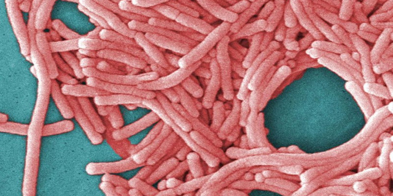 Warga New York Dihantui Penyakit Legionnaires