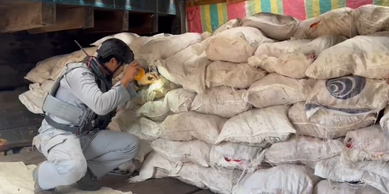 Bakamla Amankan Kapal Penyelundup Bawang Merah di Perairan Kepri