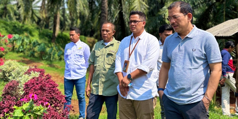 Komisi VI Apresiasi Kepatuhan PTPN IV PalmCo Soal Tata Kelola PKS Cikasungka