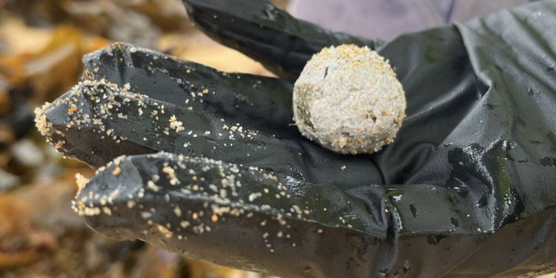 Bola-Bola Kecil Misterius Bertebaran di Pantai NSW