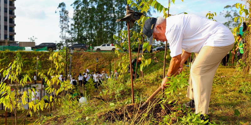 OIKN Tanam Ribuan Pohon Peringati HUT ke-80 RI