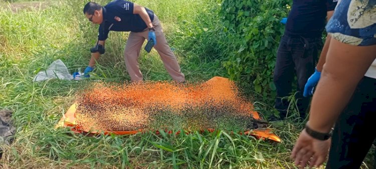 Ditemukan Tengkorak Manusia di Perkebunan Sawit