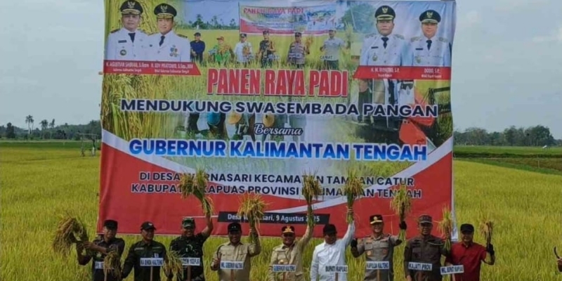 Panen Padi Varietas MR 219 di Kapuas Menuju Swasembada Pangan