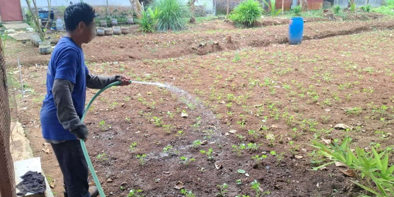 PKB Minta Pemerintah Harus Fokus ke Petani Milenial