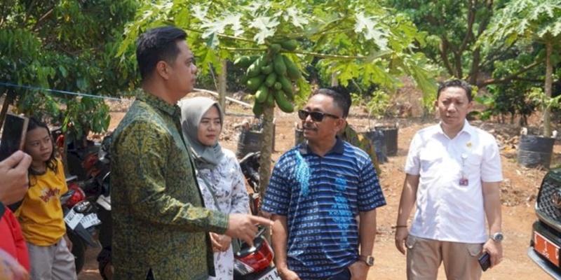 Agrowisata Jepara Utara Diharapkan Mampu Dongkrak Ekonomi Rakyat