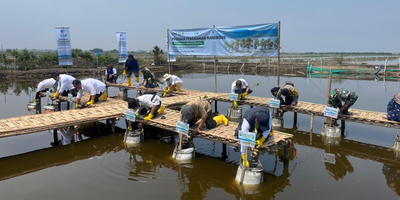 Rehabilitasi Mangrove Buka Peluang Ekonomi Baru Warga Pesisir