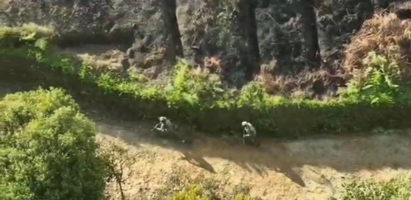 Polisi Pukul Mundur KKB Usai Bakar Puskesmas Kiwirok