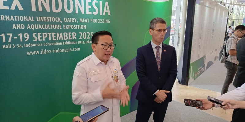 Nilai Produk Peternakan RI Didominasi Telur Ayam Rp192,5 Triliun di 2024