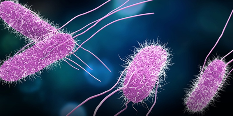 Dinkes Wonogiri Temukan Bakteri Penyebab Keracunan Siswa