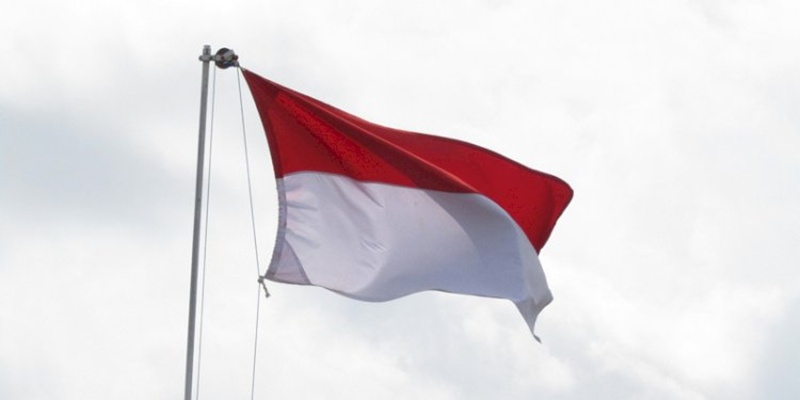 Bahasa, Persatuan dan Kedaulatan