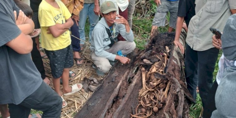 Ditemukan Kerangka Manusia di Dalam Pohon Aren Tumbang
