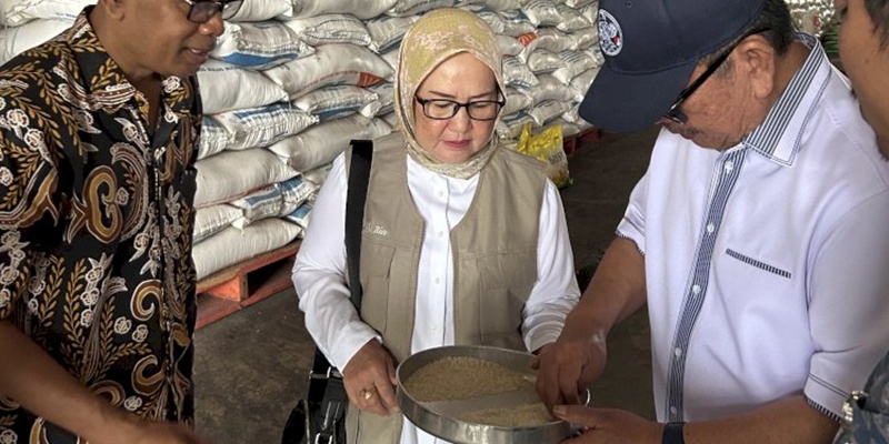 Dua Legislator Senayan Geram Masih Ada Beras Berkutu di Lampung