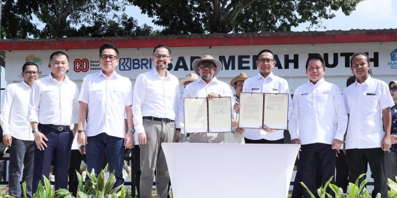 BRI Dukung Swasembada Pangan Lewat Program Sapi Merah Putih