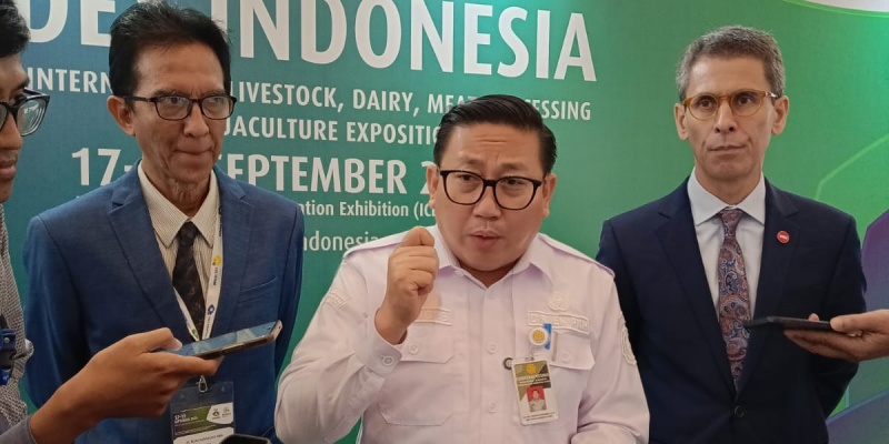 Stok Ayam Nasional Aman, Harga Lagi Bagus-bagusnya