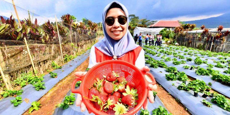 Pertamina Berdayakan Desa Rantau Dedap: Mulai Energi Bersih hingga Wisata Edukasi