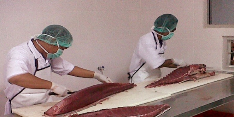 Riset DFW Indonesia Ungkap Kerentanan Pekerja Pengolahan Hasil Laut