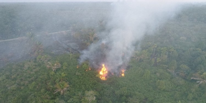 Api Membakar 12,8 Hektare Lahan Warga di Aceh Barat