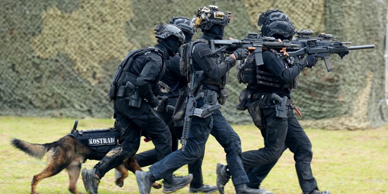 Pasukan Pengintai Kostrad