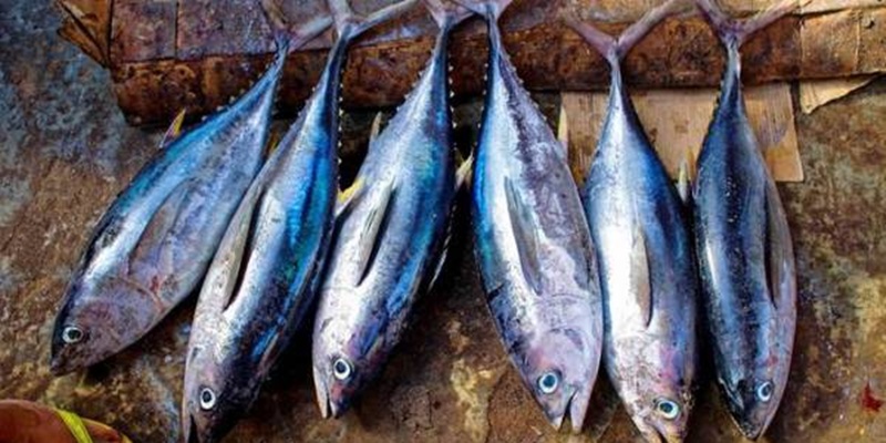 Indonesia Ingin Pengaturan Kuota Tuna Sirip Biru Berkeadilan