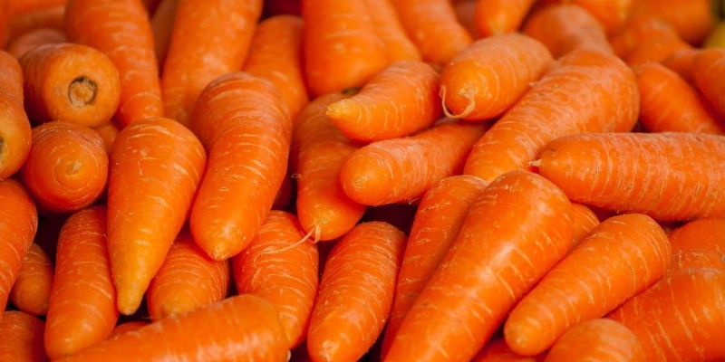 Bea Cukai Filipina Sita Wortel Selundupan asal China