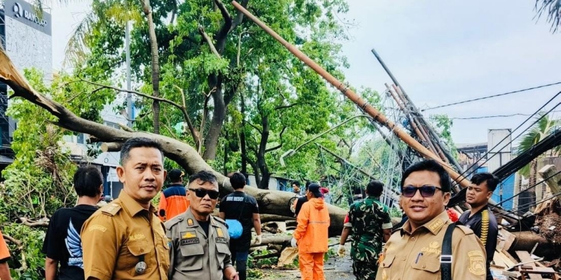 Di Tangsel, Batang Pohon Tumbang Tarik Kabel hingga ke Aspal