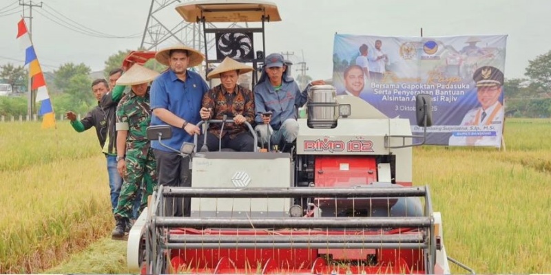 Swasembada Pangan Butuh Aksi Nyata Bukan Wacana di Balik Meja