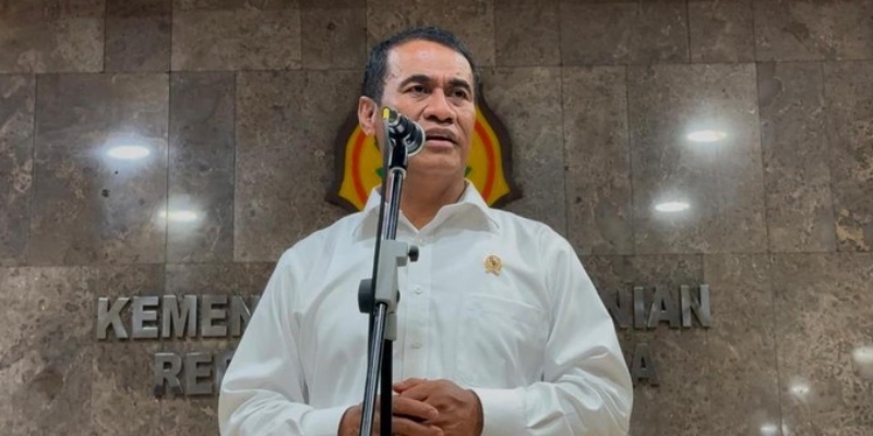 Pemerintah Siapkan 1,5 Juta Hektare Lahan Singkong untuk Campuran BBM