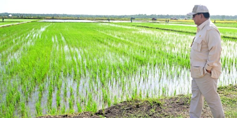 Presiden Prabowo Sukses Jaga Ketahanan Pangan