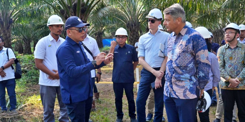 Dubes Uni Eropa Apresiasi Komitmen PTPN IV PalmCo Soal Industri Sawit Berkelanjutan