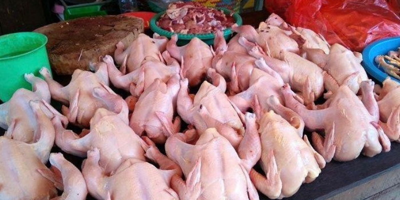 Celios: Pemerintah Perlu Hitung Ulang Neraca Pangan Nasional