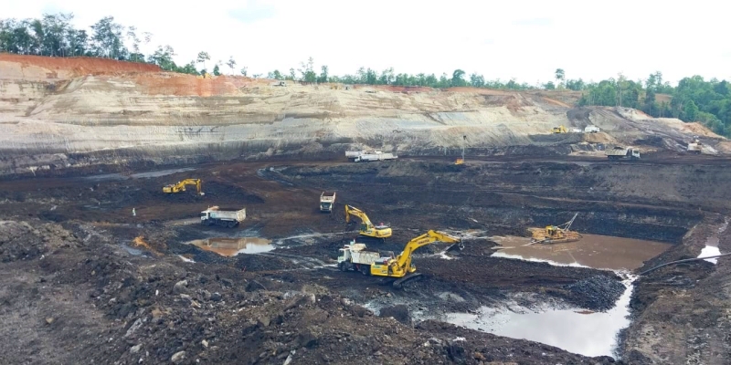 AOC Pastikan Tidak Ada Aktivitas Tambang di Kawasan Hutan Produksi