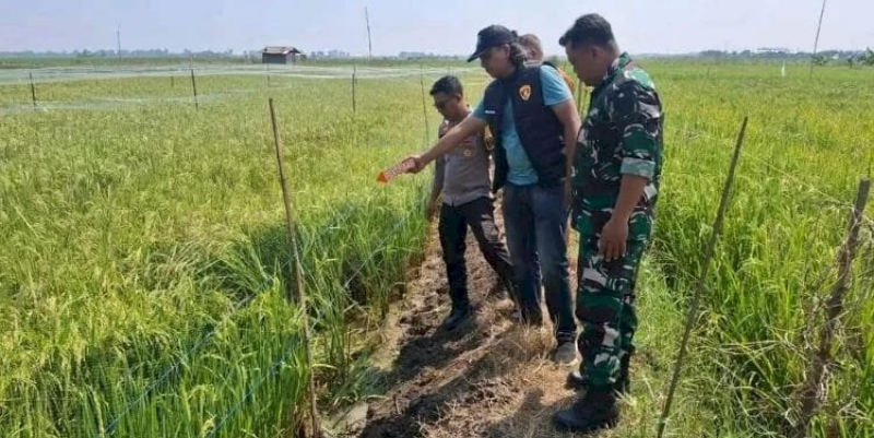Jebakan Tikus Berlistrik Tewaskan Petani