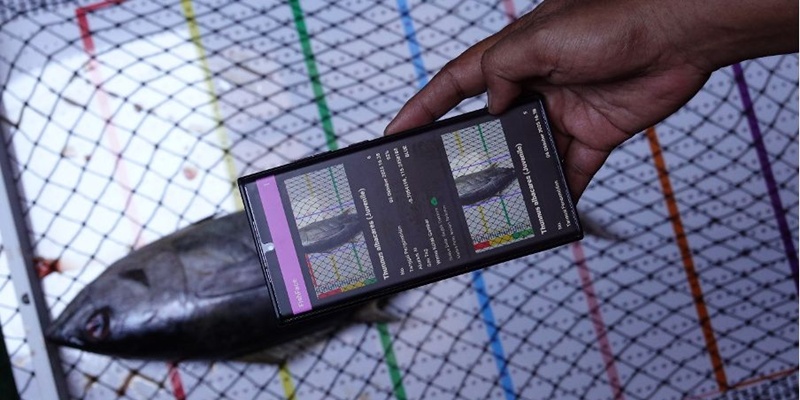 Sistem Pendataan Ikan Kini Diperkuat e-Logbook V3