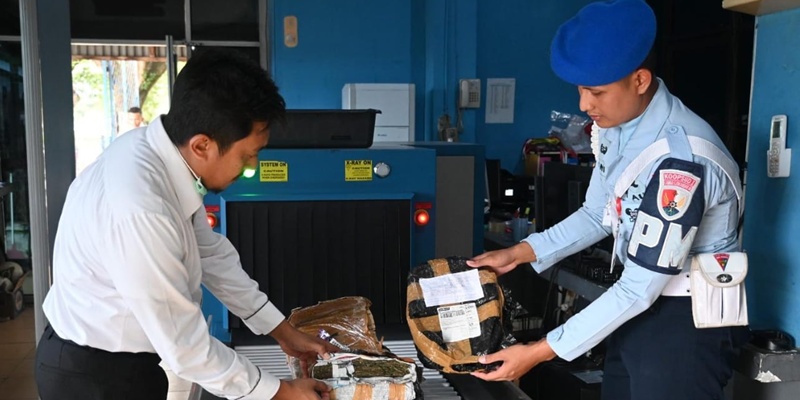 Sinergi Lanud SIM dan Avsec API Gagalkan Penyelundupan Ganja