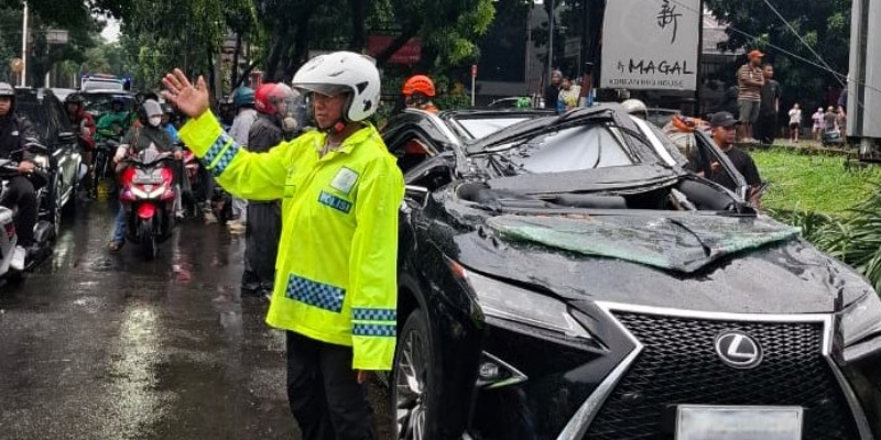 Korban Tewas Lexus Tertimpa Pohon Dipastikan Mantan Petinggi Danareksa