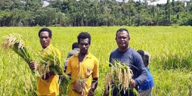 Dorong Kemandirian Ekonomi Papua Lewat Bansos dan Pelatihan Keterampilan