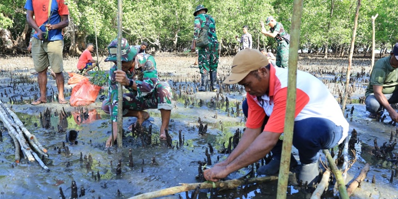 TNI Bareng Warga Lestarikan Ekosistem Mangrove di Tidore