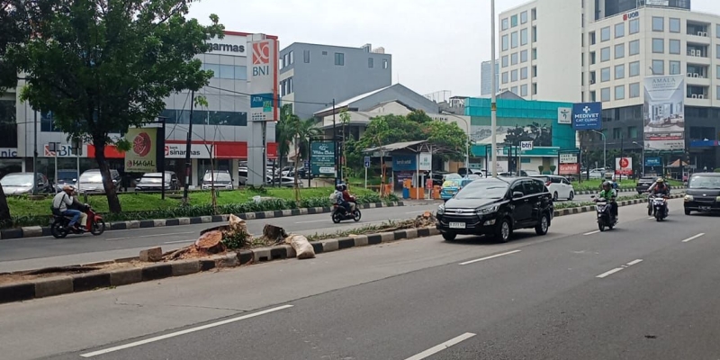 Di sepanjang Jalan Metro Pondok Indah, tampak bekas-bekas tunggul pohon palem yang sudah ditebang (Foto: RMOL/Faisal Aristama)
