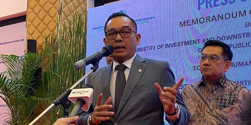 Wamen Investasi Andalkan Strategi Ini Biar RI Gak Kalah dengan Vietnam