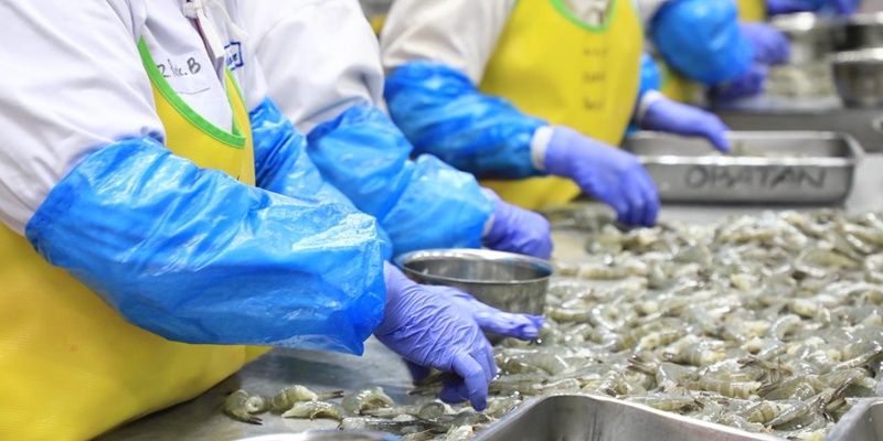 Paparan Cesium-137 dari Kontainer Bikin Udang Indonesia Di-blacklist Amerika