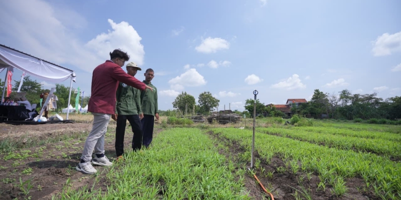 Pertamina Bantu Petani di Boyolali saat Musim Kemarau