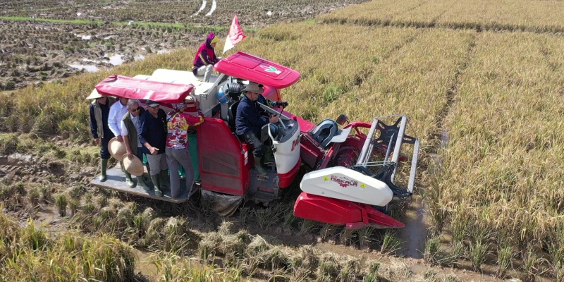 Terapkan Smart Farming, BULOG Panen Padi Hasil Budidaya Mandiri