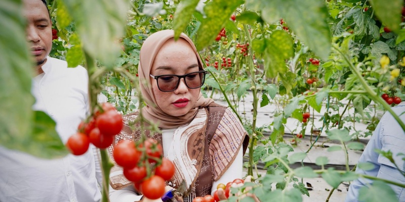 Pesantren Berperan Penting Kembangkan Koperasi