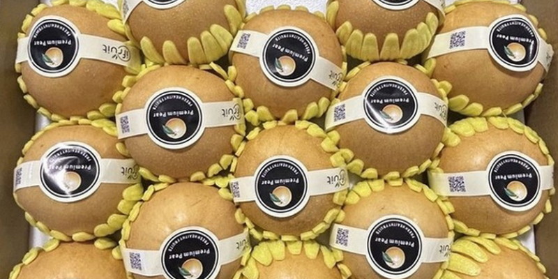 Ekspor Pir Hebei ke Indonesia Kembali Pulih