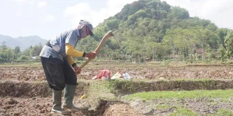 Petani Wonogiri Terima Bantuan Senilai Rp23 Miliar