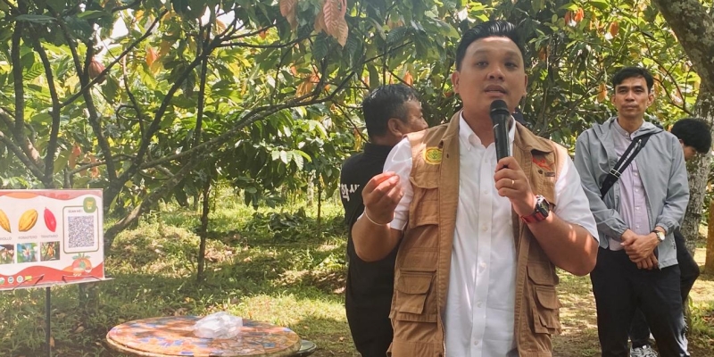 Perusahaan Lokal Berdayakan Ratusan Hektare Lahan Kakao di Bali, Tembus Ekspor ke Australia