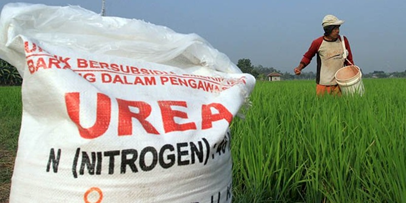 Dugaan Penyelewengan Pupuk Subsidi di Tuban Digugat Warga