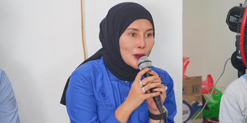 Legislator PAN: Optimalisasi Aset TNI Salah Satu Kunci Pertahanan Negara