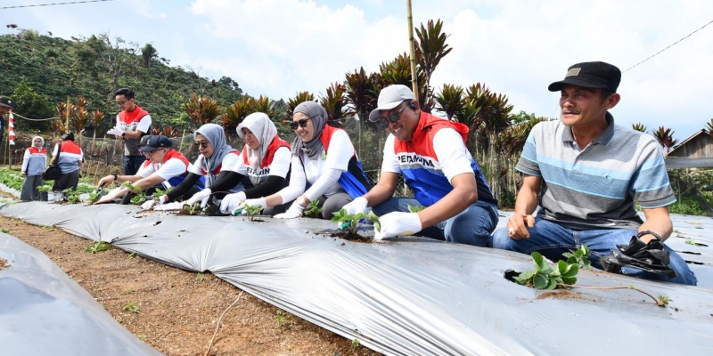 Pertamina 'Tanam' Edukasi Keberlanjutan lewat Program Desa Berdikari