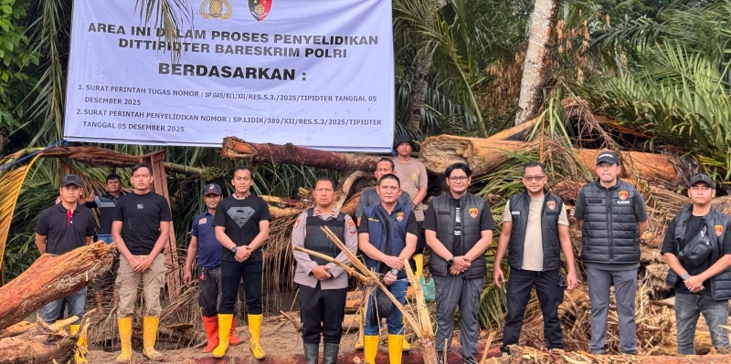 Bareskrim Teliti Asal-usul Kayu Gelondongan di Garoga